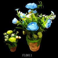 FL0011,plants