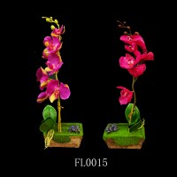 FL0015,plants