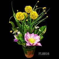FL0016,plants