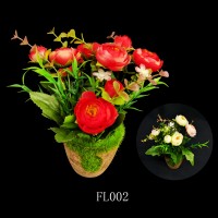 FL002,PLANT