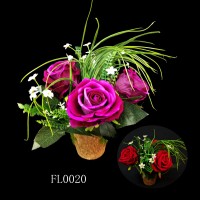 FL0020,plants