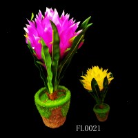 FL0021,plants