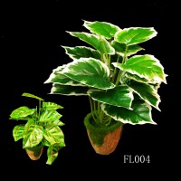 FL004,PLANTS