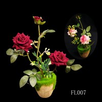 FL007,PLANTS